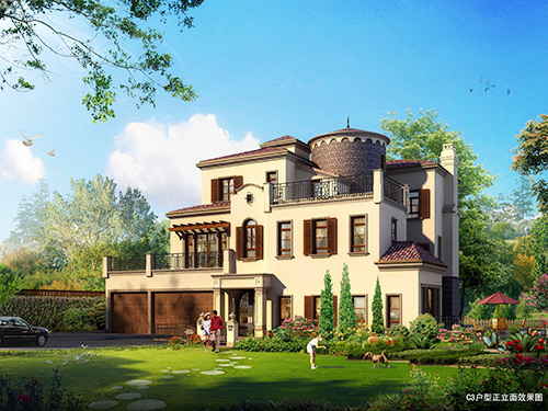 公司所做项目效果图